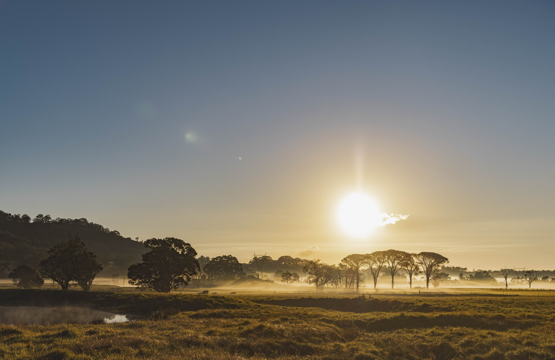 1800x1167_5FL4940-Edit