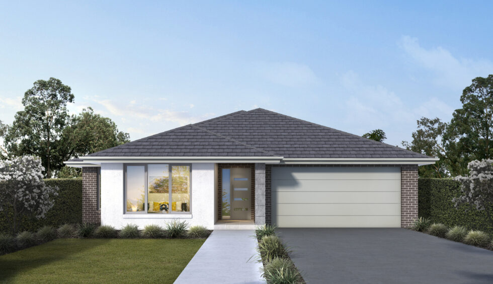 EC - Palm 24 - Classic